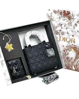Сумка женская Lady Dior My ABCDior 2123